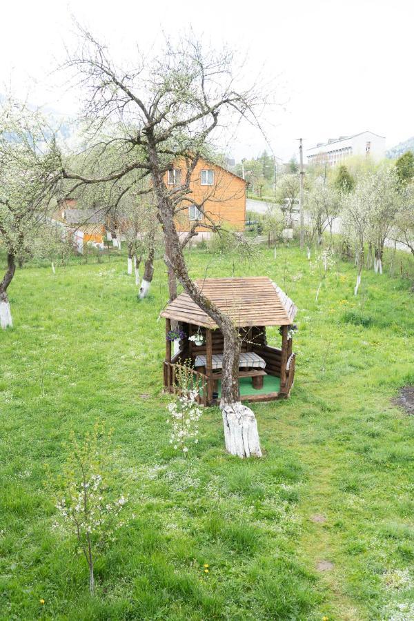 Садиба В Пані Рузі Skole Ngoại thất bức ảnh